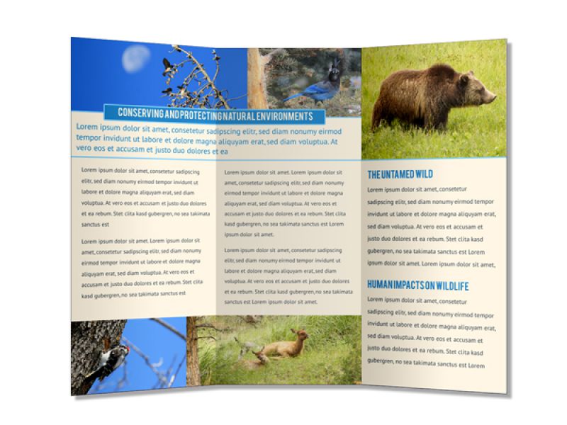 Brochure