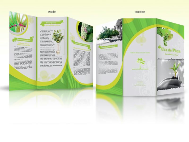 Brochure