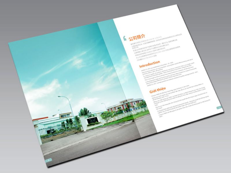 Catalogue