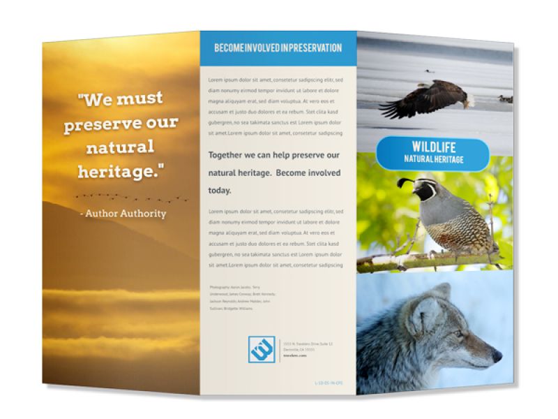 Brochure